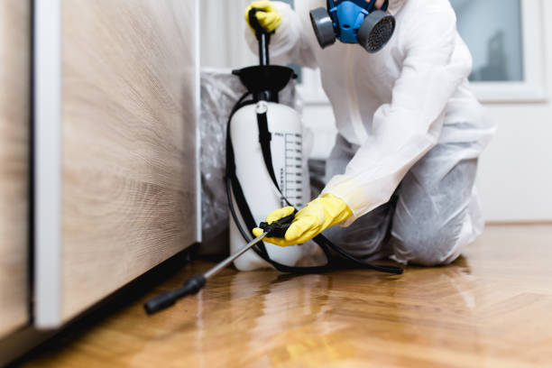 Best Emergency Pest Control  in Cedar Hills, OR