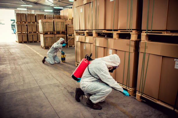 Best Emergency Pest Control  in Cedar Hills, OR