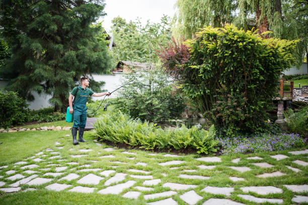 Best Ant Control Services  in Cedar Hills, OR