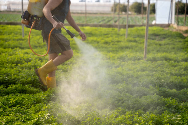 Best Local Pest Control Services  in Cedar Hills, OR