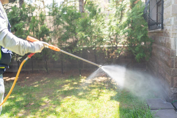 Pest Prevention Services in Cedar Hills, OR