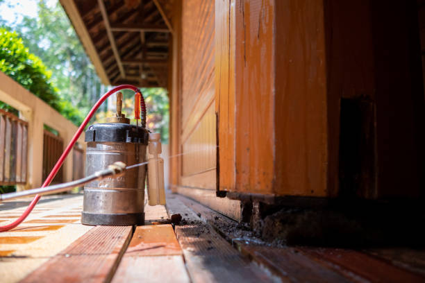 Best Local Pest Control Services  in Cedar Hills, OR