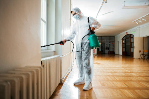 Best Termite Control Services  in Cedar Hills, OR