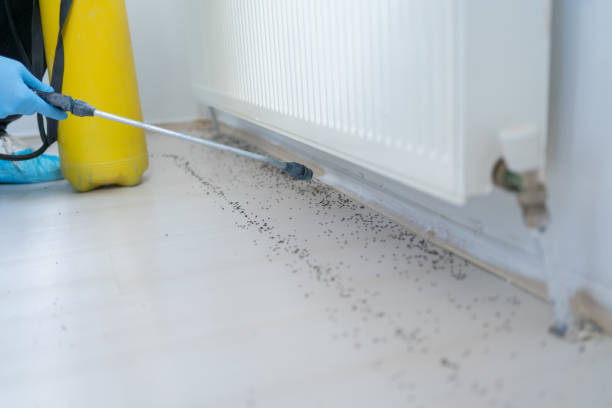 Best Mosquito Control Services  in Cedar Hills, OR