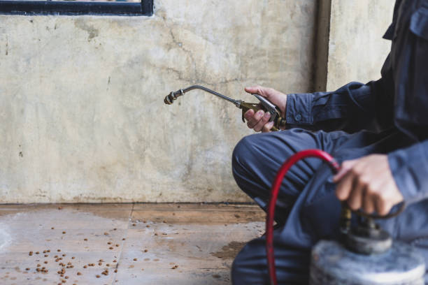 Best Pest Inspection Near Me  in Cedar Hills, OR